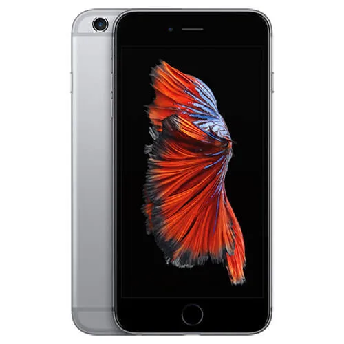 Оперативная замена нижнего шлейфа iPhone 6 / 6 Plus
